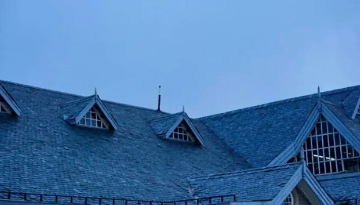 Top 5 Roof Painting Tips and Guide