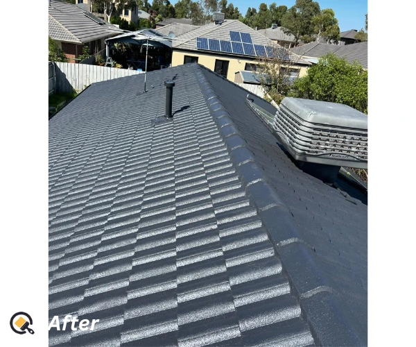 After roof painting in Hampton