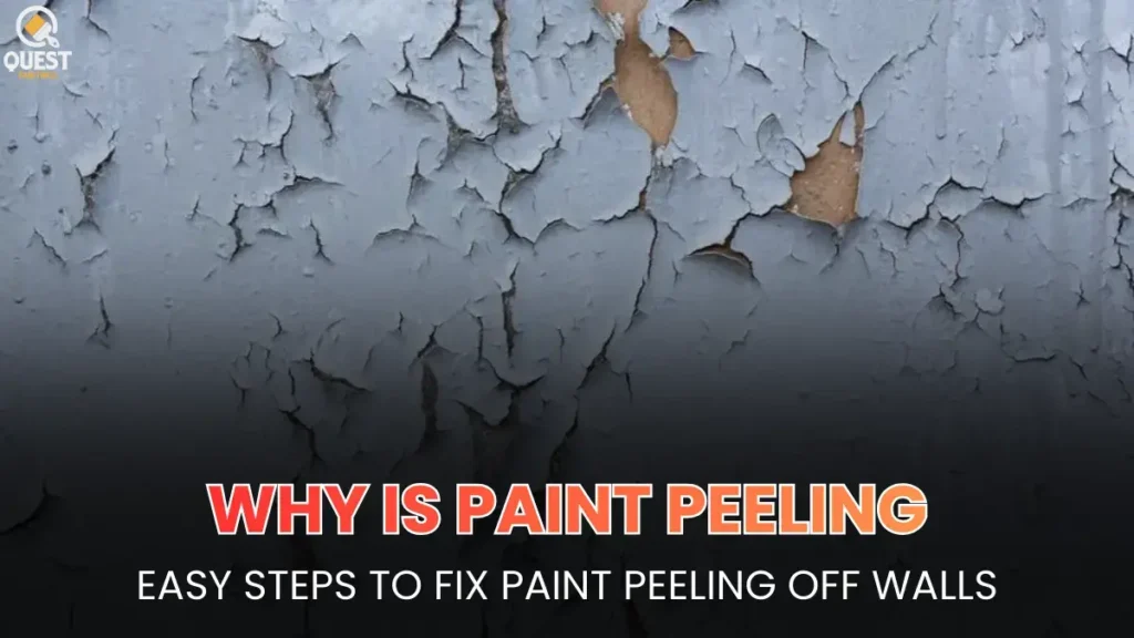 Why Is Paint Peeling? Easy Steps To Fix Paint Peeling Off Walls