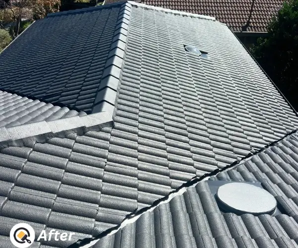 after roof painting in Officer